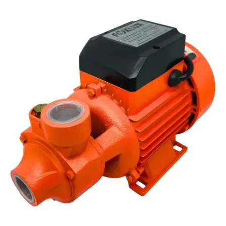 Bomba Periférica Foxlux Água 1cv Bivolt Laranja 127/220v 60 Hz Monofásica